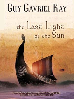 Cover of the book The Last Light of the Sun by Paula Baker, Aidan Davies