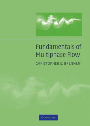 Cover of the book Fundamentals of Multiphase Flow by Dragoş Iliescu