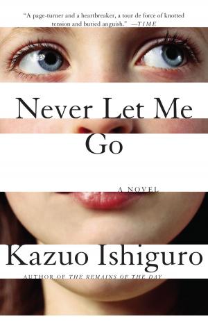 Cover of the book Never Let Me Go by Ruth Rendell