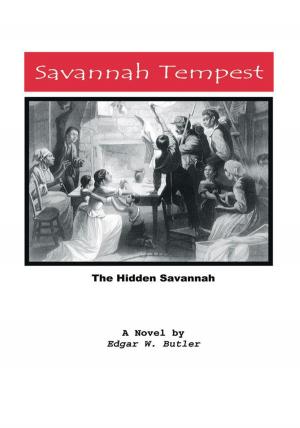 Cover of the book Savannah Tempest by Anne Gumley