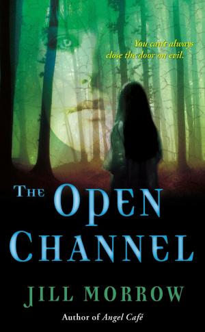 Cover of the book The Open Channel by Jim Butcher, Charlaine Harris, Sherrilyn Kenyon