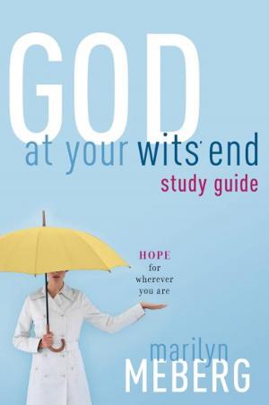 Cover of the book God at Your Wits' End Study Guide by Amy Parker