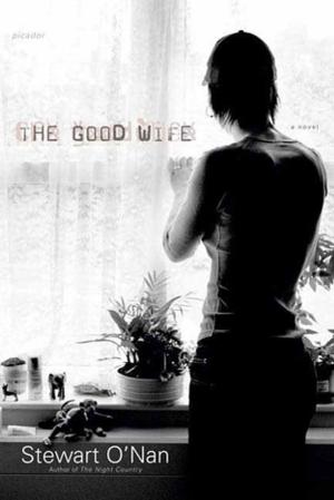 Cover of the book The Good Wife by Jim Crace