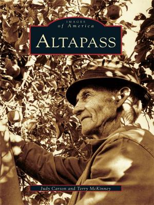 Cover of the book Altapass by Robert Furman