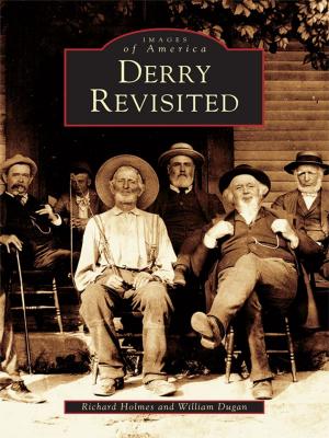 Cover of the book Derry Revisited by Paula A. Scott