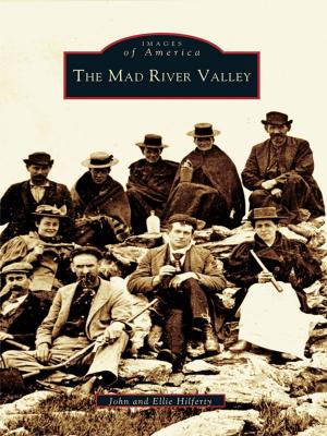 bigCover of the book The Mad River Valley by 