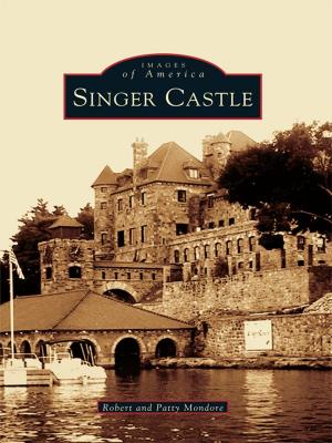 Cover of the book Singer Castle by Paul Burnett, Claudine Burnett