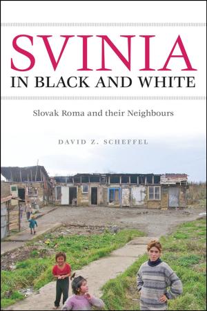 Cover of the book Svinia in Black and White by Elisabeth  Gidengil, Andre Blais, Joanna Everitt, Patrick Fournier, Neil Nevitte