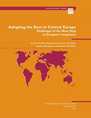 Book cover of Adopting the Euro in Central Europe: Challenges of the Next Step in European Integration