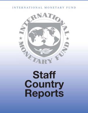Book cover of Evaluation of the Technical Assistance Provided by the International Monetary Fund