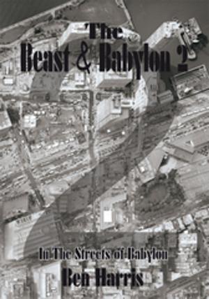 bigCover of the book The Beast & Babylon 2 by 