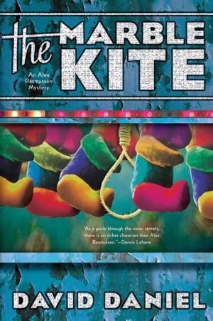 Cover of the book The Marble Kite by Colin McEvoy, Lynn Olanoff