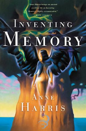 Cover of the book Inventing Memory by crystalphoenix