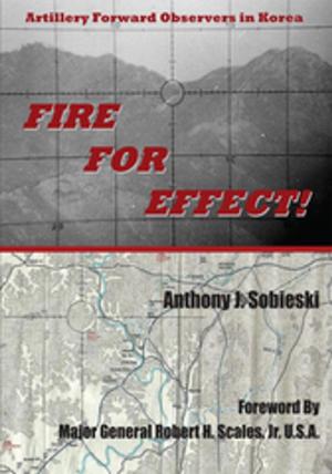 Cover of the book Fire for Effect! by Ty Writen