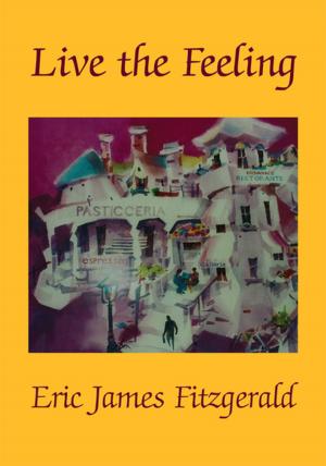 Cover of the book Live the Feeling by Woude' Wood