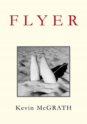 Cover of the book F L Y E R by M.J. Daniels