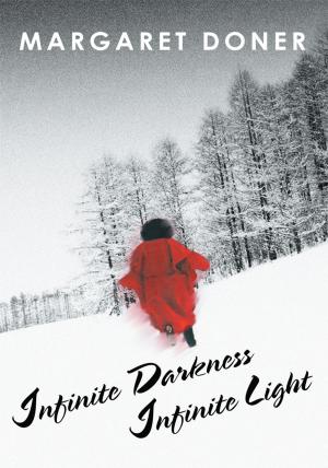 bigCover of the book Infinite Darkness Infinite Light by 