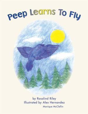 Cover of the book Peep Learns to Fly by Dabeer Mallik