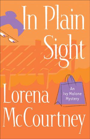 Cover of the book In Plain Sight (An Ivy Malone Mystery Book #2) by Stanley J. Grenz, Jay T. Smith
