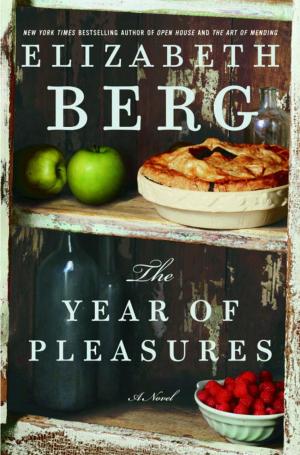 Cover of the book The Year of Pleasures by Roger Granet