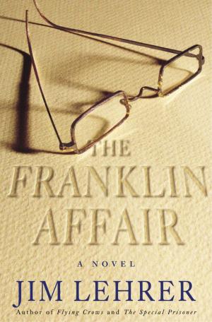 Cover of the book The Franklin Affair by Janet Evanovich