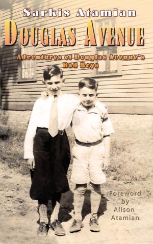 Cover of the book Douglas Avenue by Monica Estill
