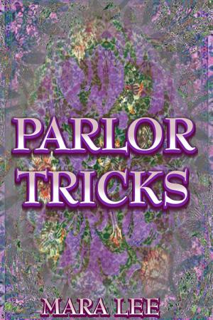 Cover of the book Parlor Tricks by Lily Silver