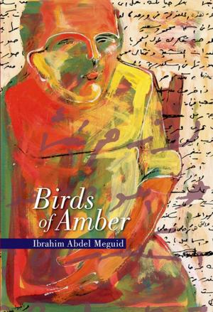 Cover of the book Birds of Amber by Miral al-Tahawy