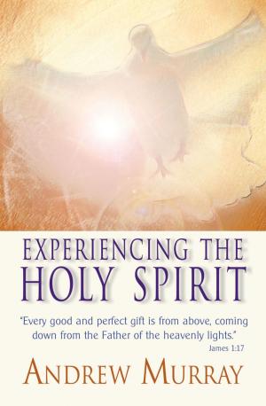 Book cover of Experiencing the Holy Spirit (eBook)