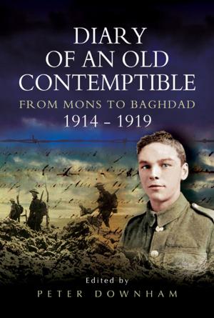 Cover of the book Diary of an Old Contemptible by Nicholas   van der Bijl