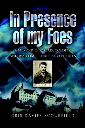 Cover of the book In Presence of My Foes by Bernard Lewis