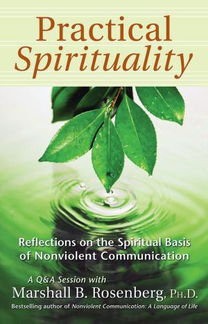 Book cover of Practical Spirituality