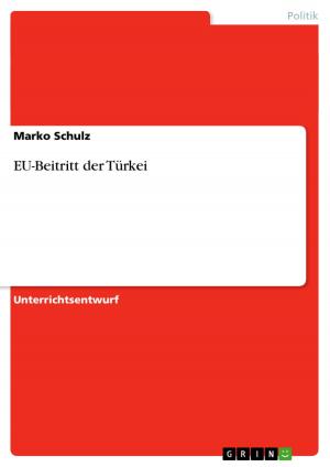 Cover of the book EU-Beitritt der Türkei by Jan Buck