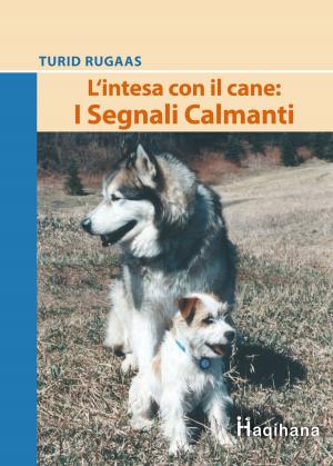 Book cover of L'intesa con il cane: I Segnali Calmanti