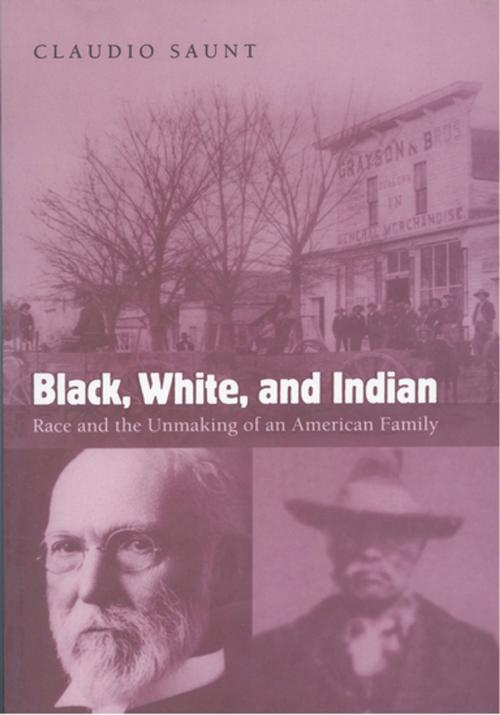 Cover of the book Black, White, and Indian by Claudio Saunt, Oxford University Press