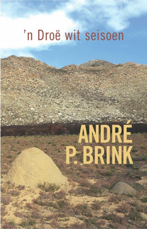 Cover of the book 'n Droë wit seisoen by André P. Brink, Human & Rousseau