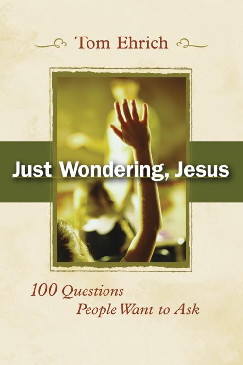 Cover of the book Just Wondering, Jesus by Tom Ehrich, Church Publishing Inc.