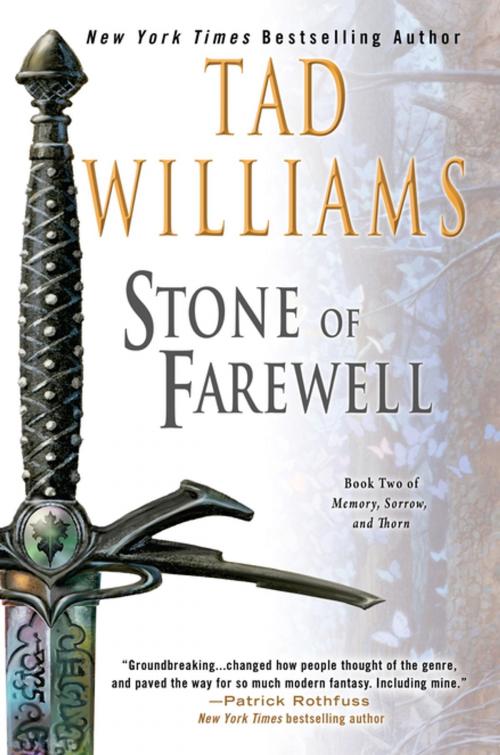 Cover of the book The Stone of Farewell by Tad Williams, DAW