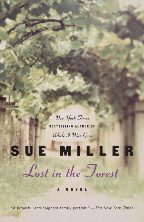 Cover of the book Lost in the Forest by Sue Miller, Random House Publishing Group