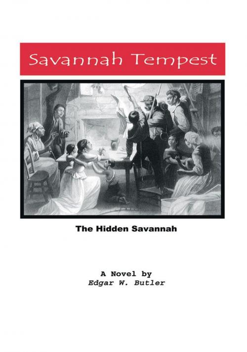 Cover of the book Savannah Tempest by Edgar W. Butler, Trafford Publishing