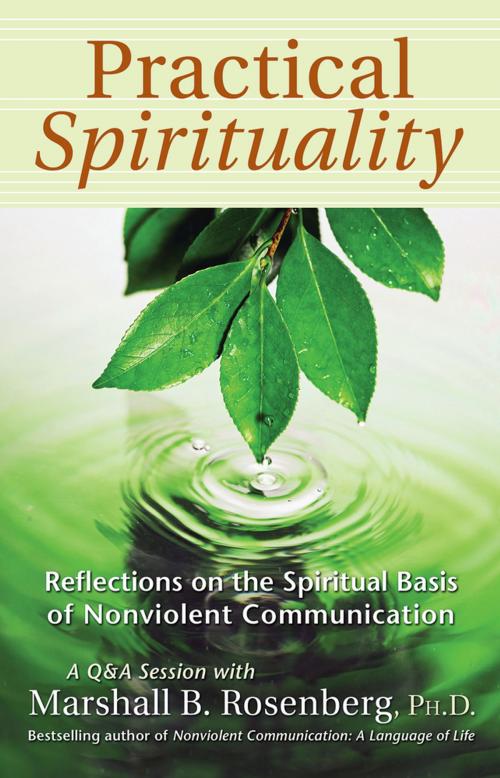 Cover of the book Practical Spirituality by Marshall B. Rosenberg, PhD, Puddledancer Press
