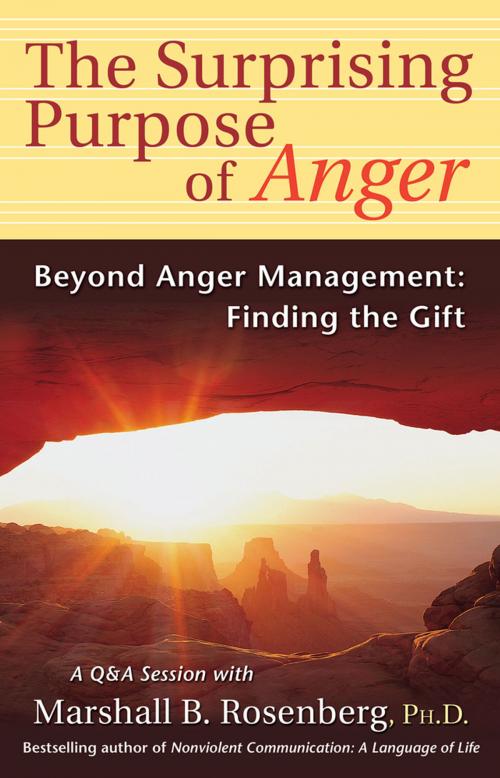 Cover of the book Surprising Purpose of Anger by Marshall Rosenberg, PuddleDancer Press