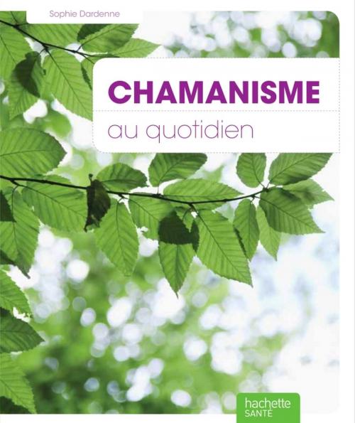 Cover of the book Chamanisme by Sophie Dardenne, Hachette Pratique