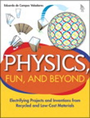 Cover of the book Physics, Fun, and Beyond: Electrifying Projects and Inventions from Recycled and Low-Cost Materials by Erica Sadun