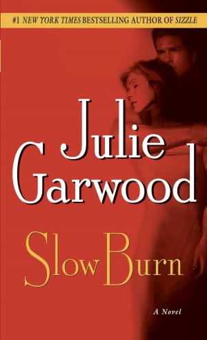 Cover of the book Slow Burn by Naomi Novik