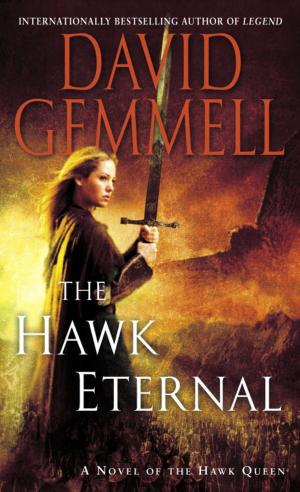 Cover of the book The Hawk Eternal by Richard Montanari
