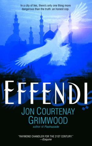 Cover of the book Effendi by Ann McGee-Cooper