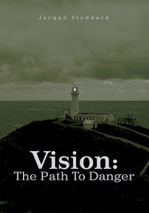 Cover of the book Vision: the Path to Danger by George S. Hanna