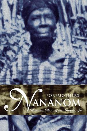 Cover of the book Nananom by Donald Patrick Redheffer