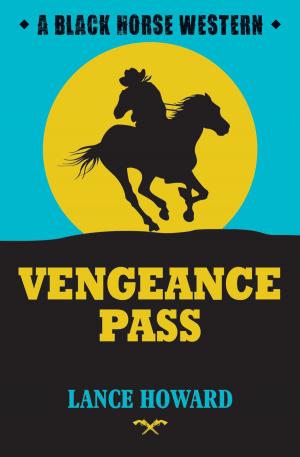 Cover of the book Vengeance Pass by Steven Gray